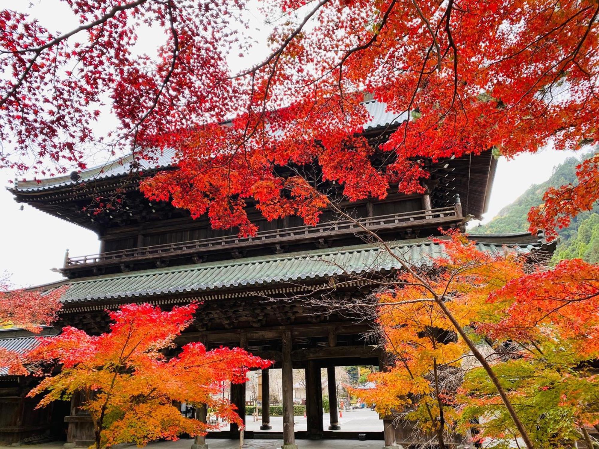 Ryokan Tanakaya Minobu Екстериор снимка