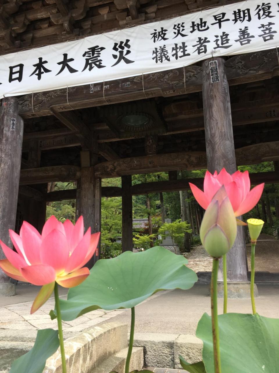 Ryokan Tanakaya Minobu Екстериор снимка