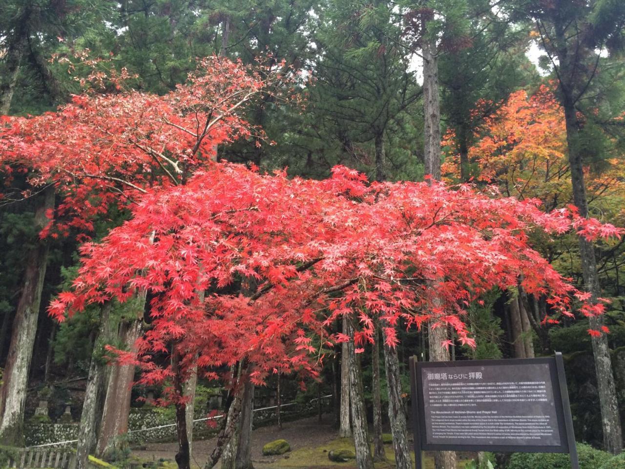 Ryokan Tanakaya Minobu Екстериор снимка